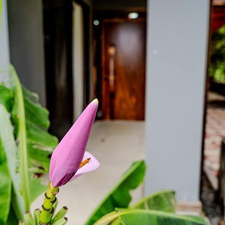Cloud Forest House Monteverdes Kültér fotó